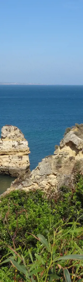 Felsalgarve